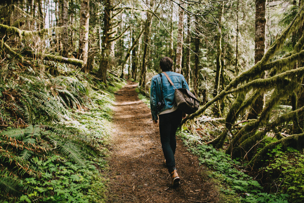 Person hiking a path in a forest